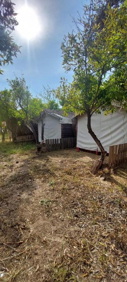 Bodrum Masali Camping Gumusluk Exterior photo